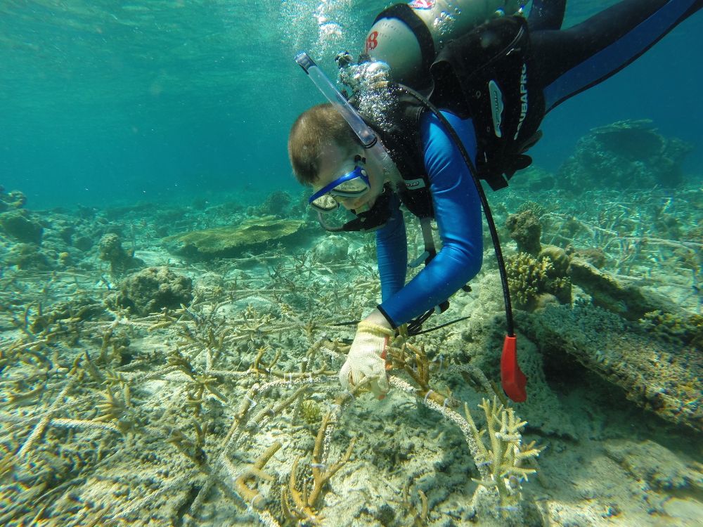 huong-dan-du-lich-dao-san-ho-koh-coral-thai-lan